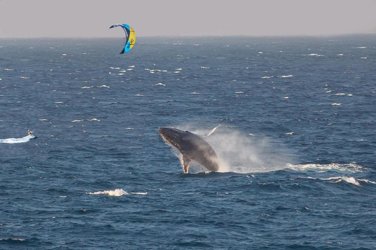 Хостел Kitesurf Tofo House Экстерьер фото