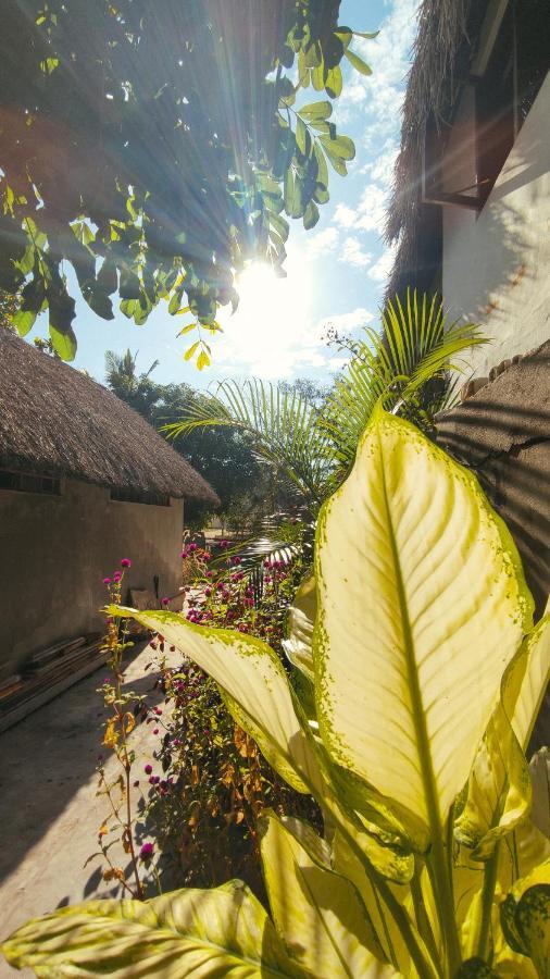 Хостел Kitesurf Tofo House Экстерьер фото